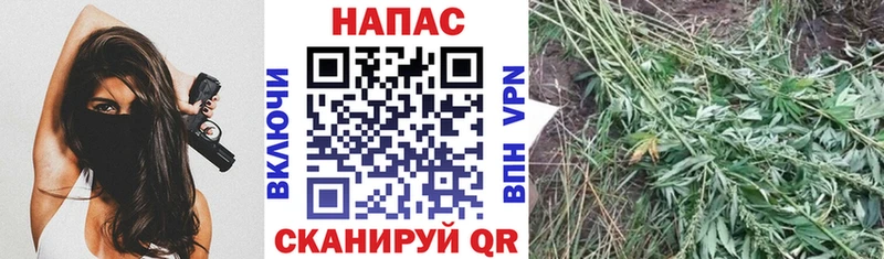 Где купить Покачи Кокаин  МЕФ  Гашиш  Alpha PVP  МАРИХУАНА 