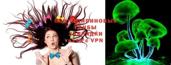 Альфа ПВП Новодвинск
