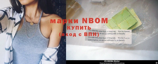 твердый Новозыбков