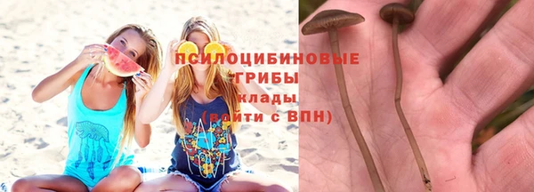 Альфа ПВП Новодвинск