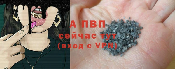 Альфа ПВП Новодвинск