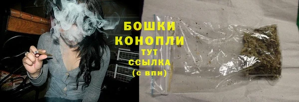 твердый Новозыбков
