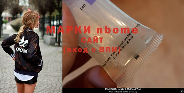 твердый Новозыбков