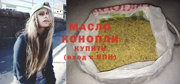 твердый Новозыбков