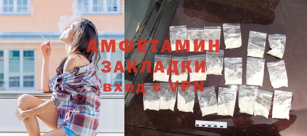 твердый Новозыбков