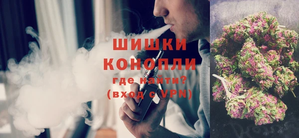 твердый Новозыбков