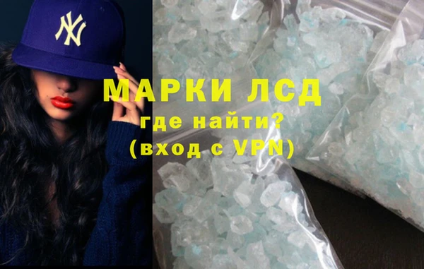 твердый Новозыбков