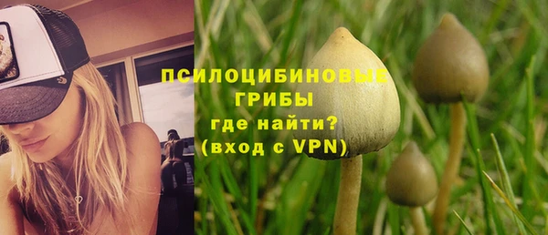 Альфа ПВП Новодвинск