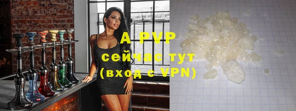 Альфа ПВП Новодвинск