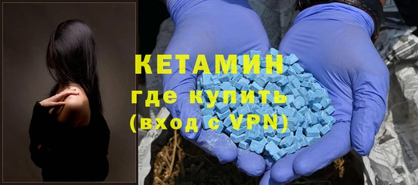 твердый Новозыбков