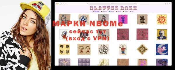 твердый Новозыбков