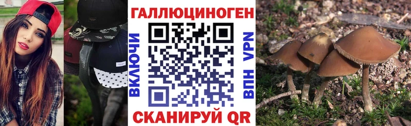 купить закладку  гидра ссылки  Псилоцибиновые грибы прущие грибы  Покачи 